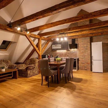 Apartman U Ljuby Jáchymov Extérieur photo