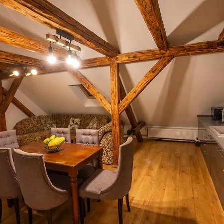 Apartman U Ljuby Jáchymov Extérieur photo