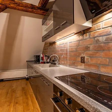 Apartman U Ljuby Jáchymov Extérieur photo